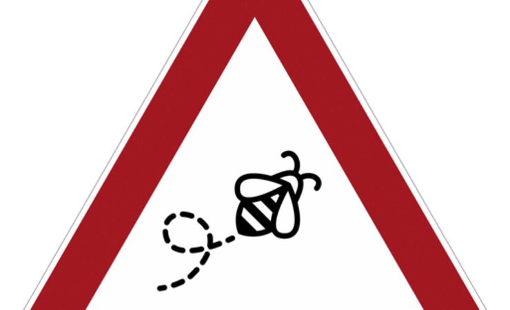 Achtung Bienen – Kollisionen werden von Autofahrern oft nur als nervige Verschmutzung der Windschutzscheibe wahrgenommen. | © Niels Gründel