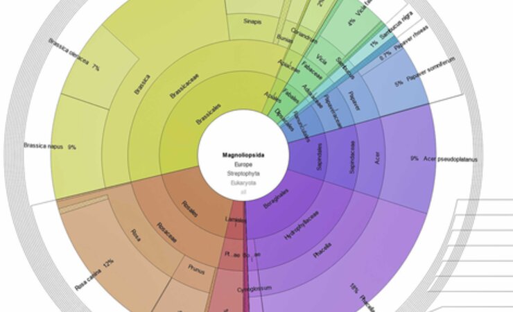 So vielfältg ist die Pflanzen-DNA von echtem Honig. | © Grafiken: Sinsoma