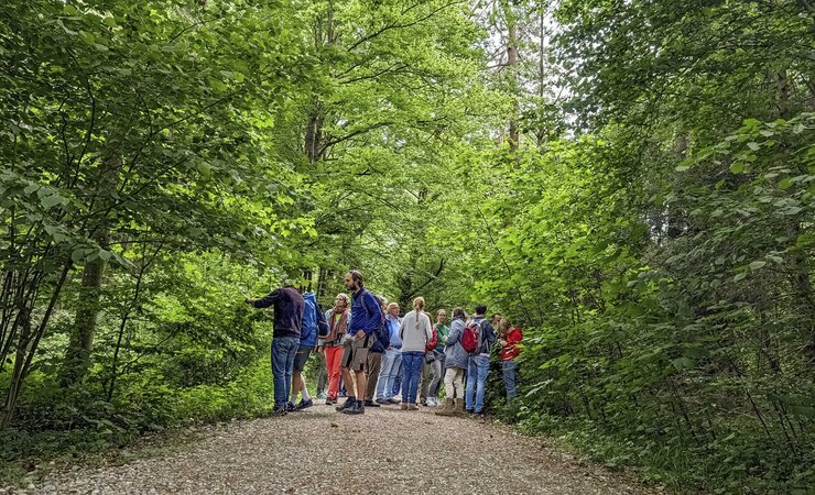 Gemeinsam unterwegs: Beim Waldtrachttag suchen Vereinsmitglieder im Tannengrün nach Honigtauerzeugern – und tauschen Wissen, Tipps und Geschichten aus. | © David Hoffmann