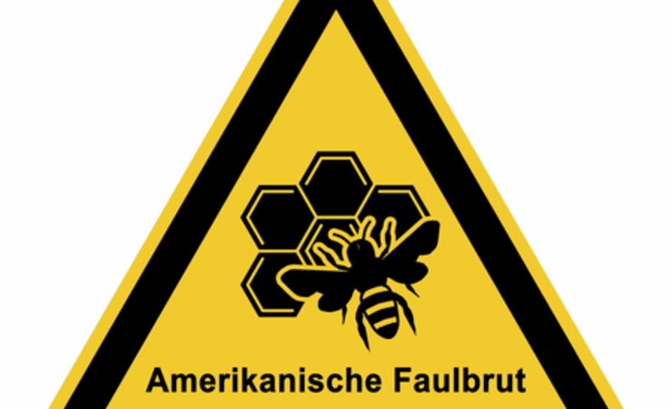 Amerikanische Faulbrut ist eine gefürchtete bakterielle Krankheit, die Bienenbrut befällt. | © fotohansel/stock.adobe.com