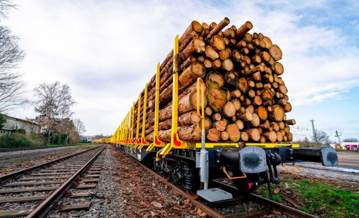 Foto: F. Rupenkamp, Imago Images | © imago images/Countrypixel