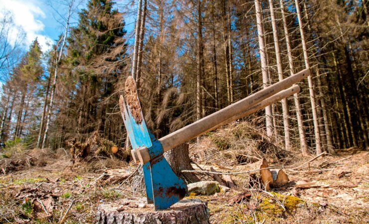 Anpacken in Sachsen-Anhalt: der Koalitionsvertrag eröffnet neue Chancen | © Imago, F. Drechsler