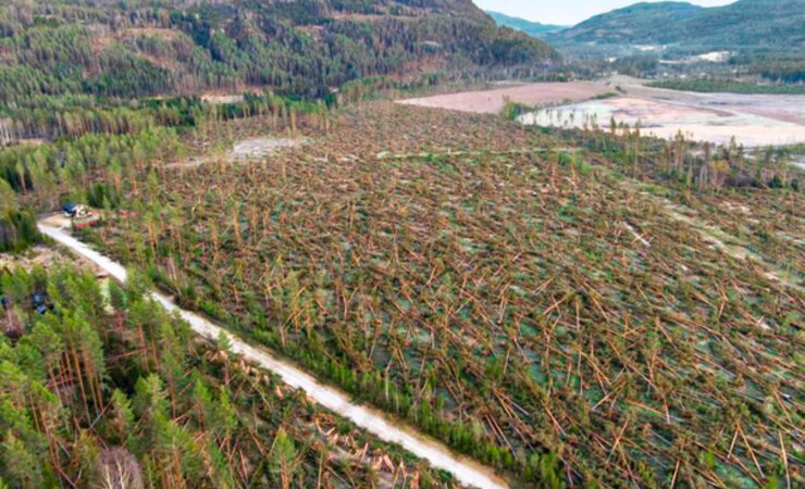 Der norwegische Waldbesitzerverband 
dokumentiert das Schadensausmaß des 
jüngsten Windwurfs mit Luftbildern. | © Martin Bordewich Strøm