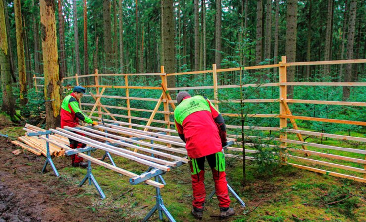 Forstwirt-Lehrling montiert ein Hordengatter-Element | © ThüringenForst