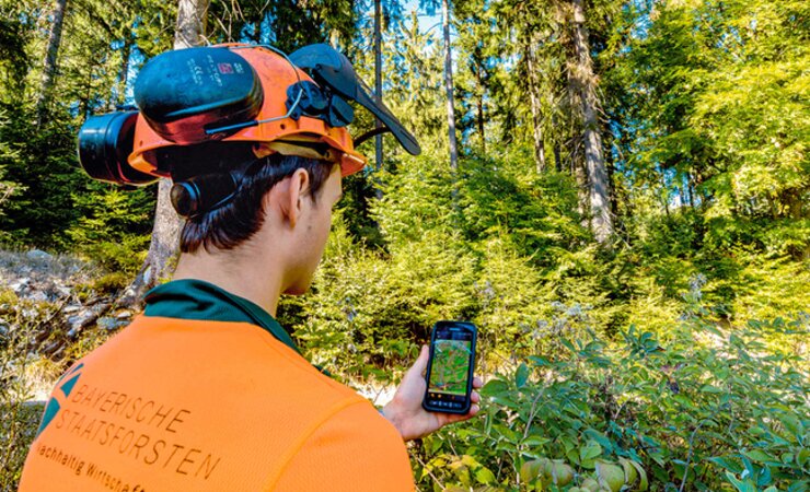 Borkenkäfersuche per App | © M. Hertel/BaySF