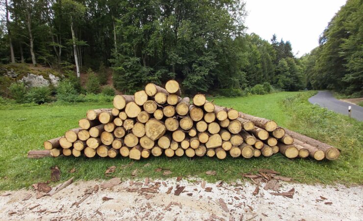 So spärlich wie dieser Fichtenpolter in der Wiese wirkt, ist derzeit das Holzangebot 
in weiten Teilen Süddeutschlands | © M. Kubatta-Große