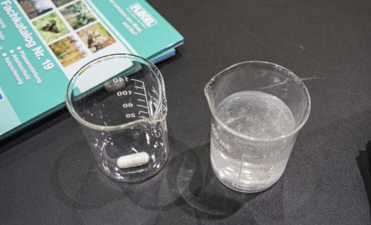 Eine Kapsel ergibt eine Gelatine-artige Flüssigkeitsreserve von rund 140 ml Wasser | © H. Höllerl
