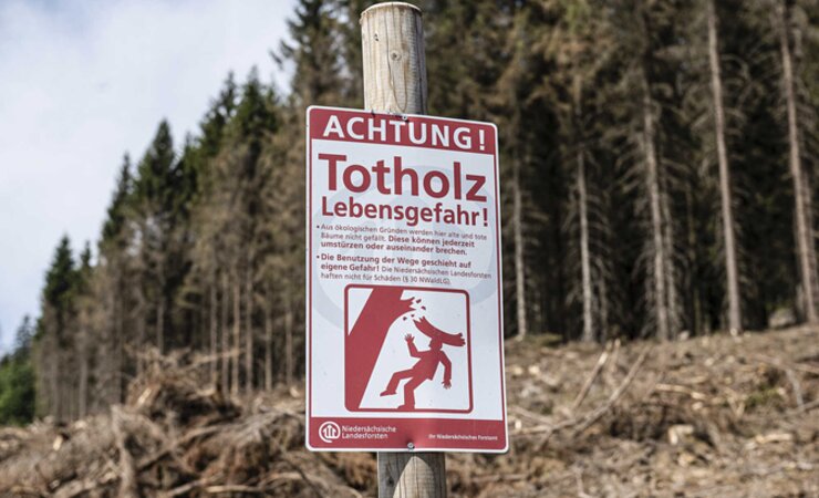 auf dem Wurmberg im Harz | © S. Pförtner, Picture Alliance