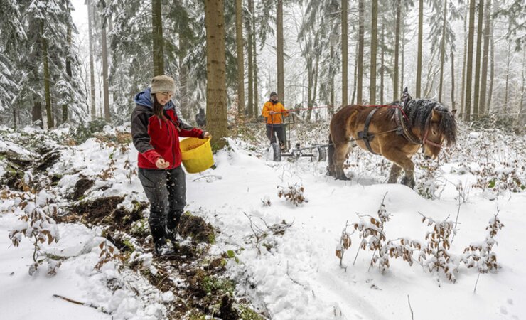 © picture alliance/dpa | Hendrik Schmidt