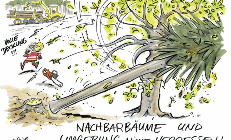 Ansprachekriterium Nachbarbäume | © Cartoon: Michel Hüter