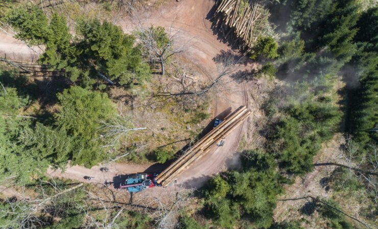 Ein Langholztransport windet sich durch den Schwarzwald | © Mercedes