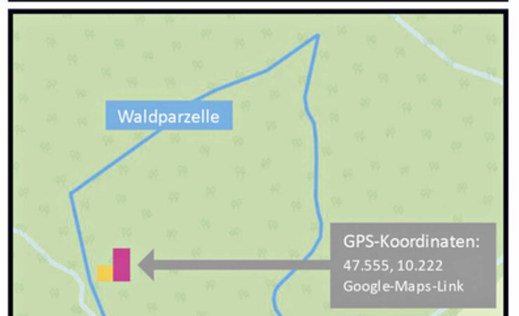 Auszug aus einer Warnmeldung: In der blau umrandeten Parzelle hat der Waldstolz-Algorithmus zwei Parzellen mit gesunkener Vitalität entdeckt und markiert | © Quelle: Waldstolz
