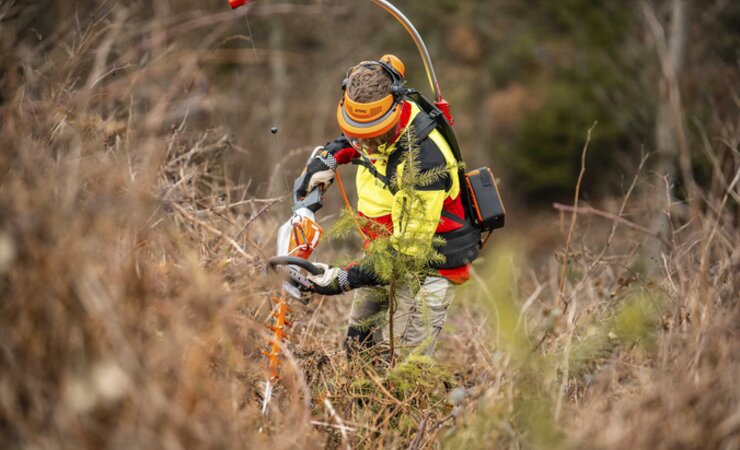 Die Niedersächsischen Landesforsten testen die Akkuheckenschere Stihl 
HSA 49R in der Kulturpflege | © NLF