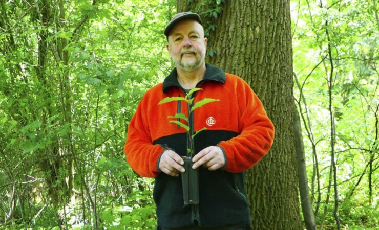 Eberhardt Guba hält eine Esskastanie | © NLF