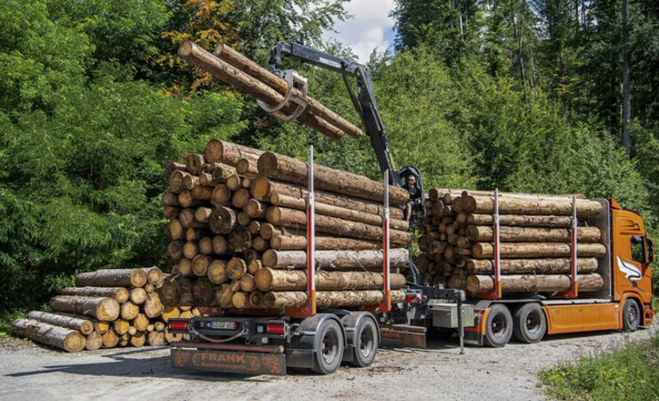 Nicht wenige Holz-Lkw navigieren sich heute mit Navlog durch 
den Wald | © picture alliance/dpa, Sebastian Gollnow