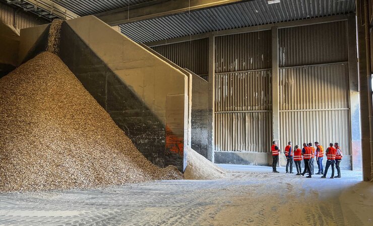 Sägemehl für die Pelletproduktion | © Fotos: O. Gabriel
