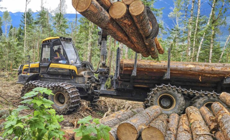 als Skidder | © Fotos: Freya Logging