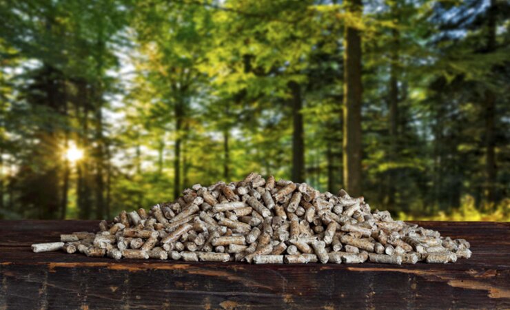Das neue Gebäudeenergiegesetz wurde verabschiedet: Pellets sind wieder nachhaltig | © Imago/imageBROKER/Jürgen Wiesler