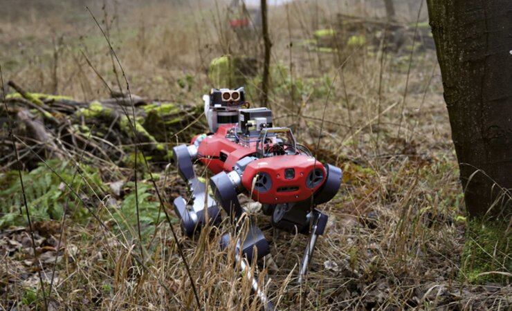 Der geländegängige Roboter ANYmal bei Testläufen im Wald | © University of Oxford DRS, ETH Zürich RSL