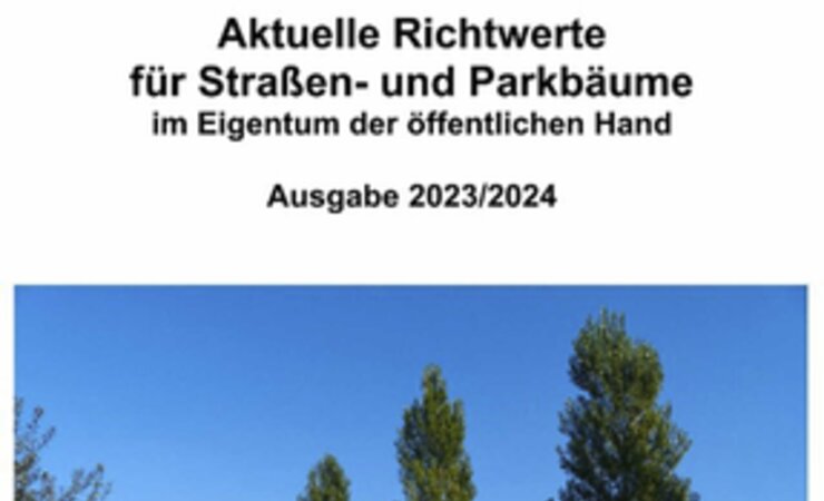 © SVK-Verlag