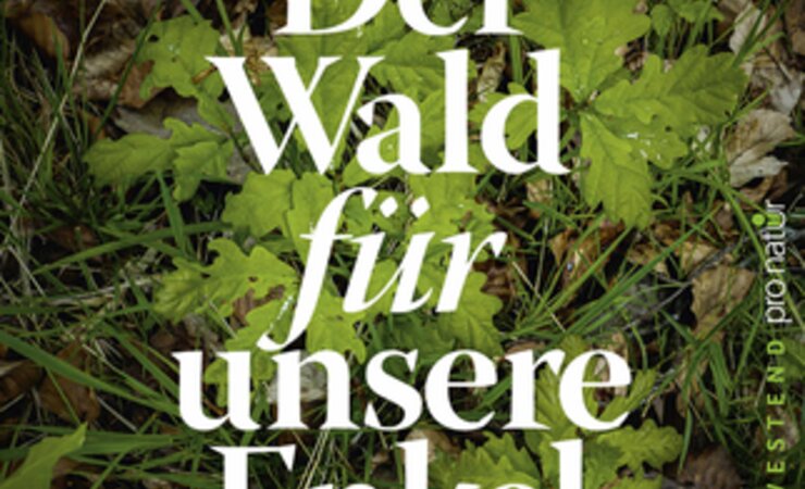 © Westend Verlag