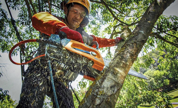 Die C21 HD Evo von Pellenc ist in Sachen Arbeitssicherheit gut ausgestattet | ©  Pellenc