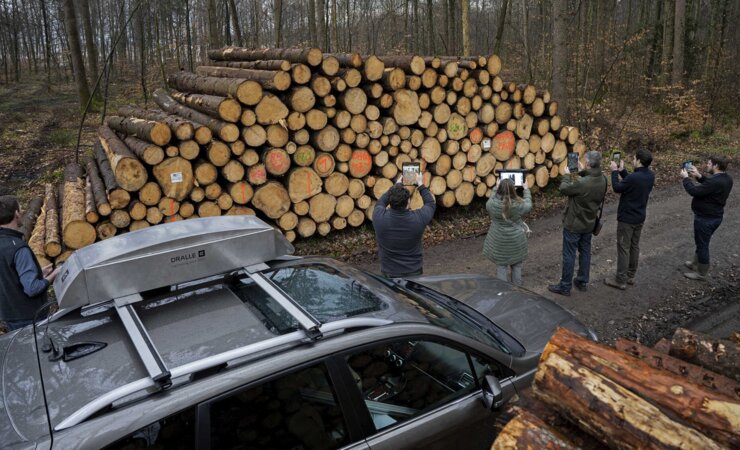 einem Holzpolter | © Fotos: H. Höllerl