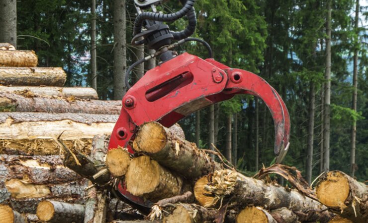 Die Holzpreise und der Holzeinschlag haben 2023 im Privat- und Körperschaftswald über 200 ha in Bayern etwas zugelegt. Der Reinertrag jedoch sank | © PantherMedia / Andy Nowack