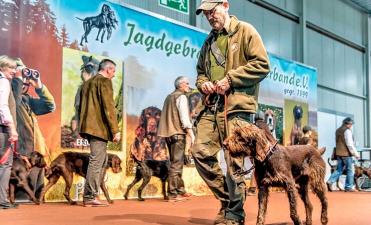 Die JAGD &amp; HUND ist die größte Jagdmesse in Europa. | © Messe Dortmund/Wolfgang Helm