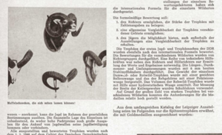 Die 1959er Trophäenschau in Markkleeberg erregte auch das Interesse westdeutscher Jäger. | © Archiv dlv-Jagdmedien
