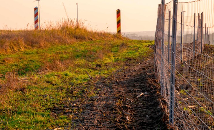 An einem ASP-Schutzzaun sind in der Vergangenheit immer wieder Rehe verendet (Symbolbild). | © Mike Mareen - stock.adobe.com