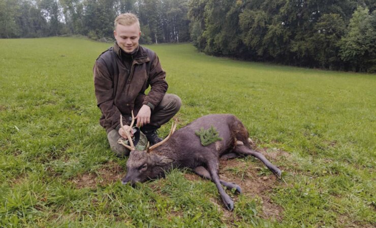 Kohlschwarz hebt sich der Hirsch mit seinen Stangen inmitten der grünen Waldwiese ab. | © CL