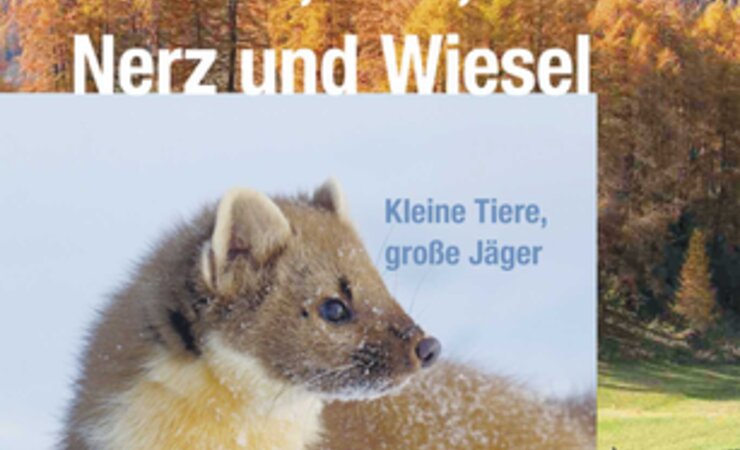 © Haupt Verlag
