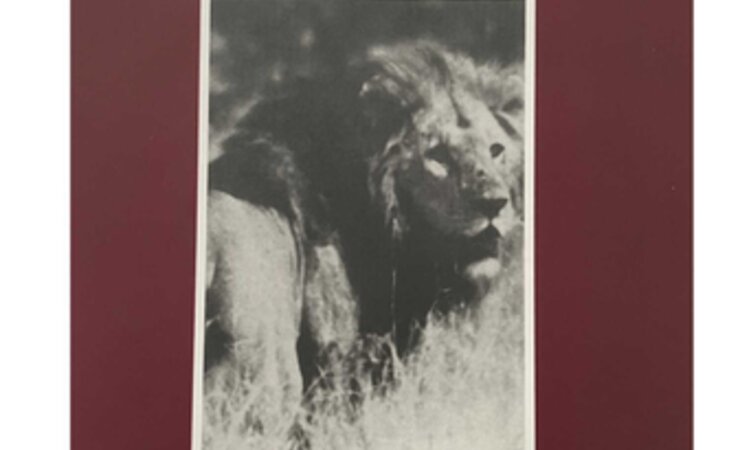 © Jagd- und Kulturverlag Sulzberg