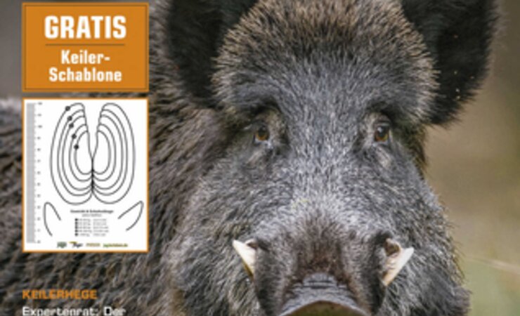 Sonderheft „Keiler“. | © unsere Jagd