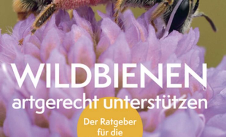 © Haupt Verlag