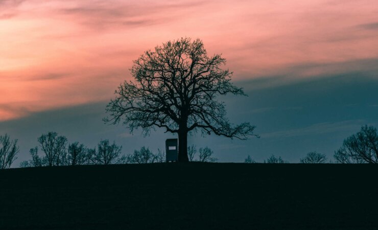 ©  Gisela - stock.adobe.com