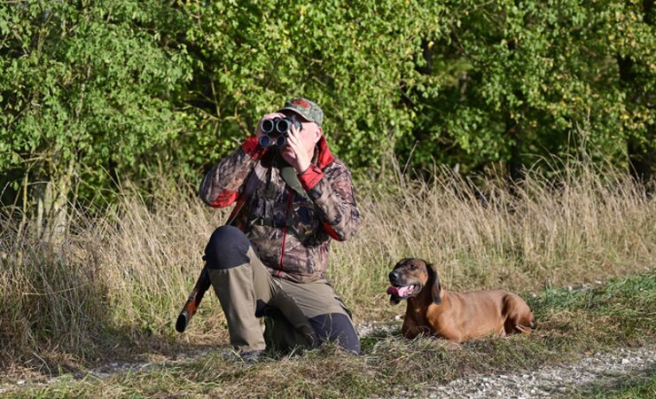 Hockt sich der Jäger hin, geht der Hund sofort in die Haltlage. | © Matthias Meyer