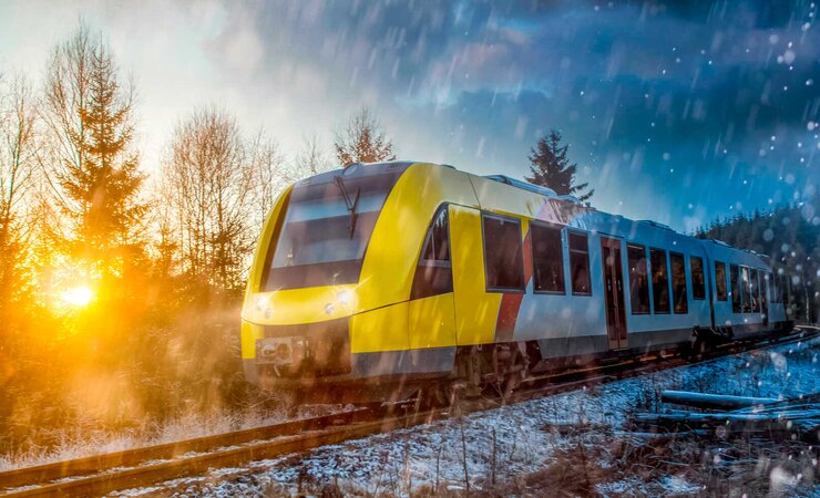 In den letzten Jahren  haben umgestürzte Bäume sowie Äste und Kronenteile auf den Trassen oder in den Oberleitungen zum Teil erhebliche Störungen des Eisenbahnbetriebs verursacht. | © T. Arhelger - stock.adobe.com