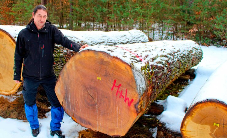 Matthias Kraft, Geschäftsführer der Waldbesitzervereinigung Fränkische Schweiz, mit der „Braut“ der Submission Pretzfeld 2021. Die Eiche brachte 1.480 €/Fm. | © Jörg Ermert, FV Oberfranken
