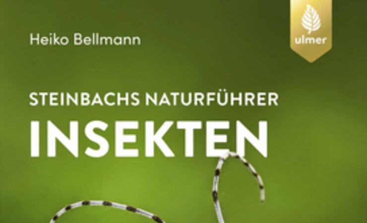 © Cover: Ulmer Verlag