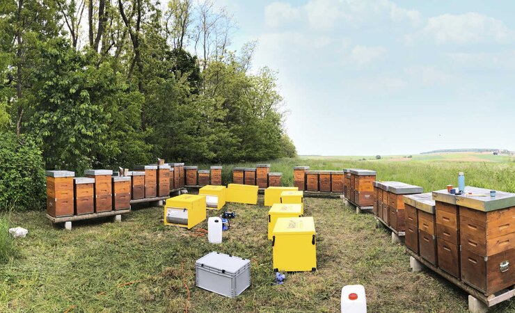 Zu Beginn sind hohe Investitionskosten nötig, aber mit dem entsprechenden Betriebssystem rechnet sich das Verfahren. Es ist chemiefrei und sehr bienenverträglich. | © Fotos: Kurt Tratsch