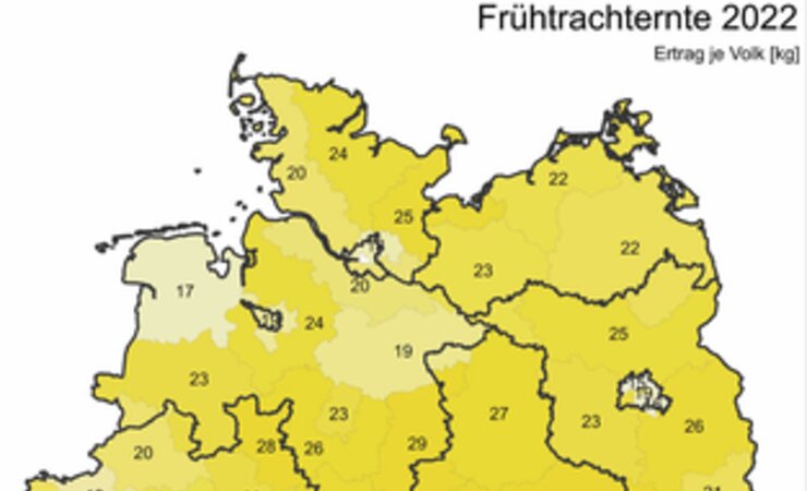 Abbildung 2: Honigernte in Deutschland 2022 - Frühtracht und Sommertracht. | © Grafiken: FBI - Mayen