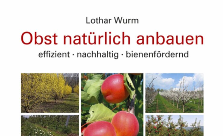 © Cover: Pfeil Verlag