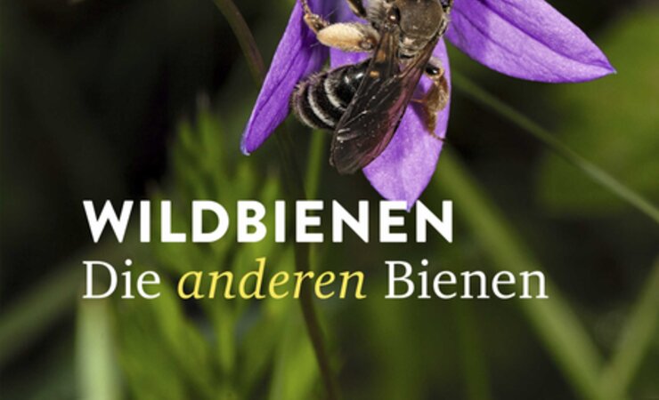 © Cover: Ulmer Verlag