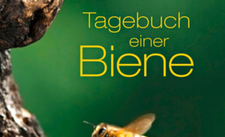 „Tagebuch einer Biene“: Ein Film für die ganze Familie. Seit 07.10. im Kino. | © Filmwelt Verleihagentur GmbH