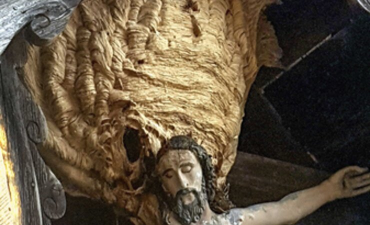 Jesuskreuz in Niederried. | © Georg Freitag