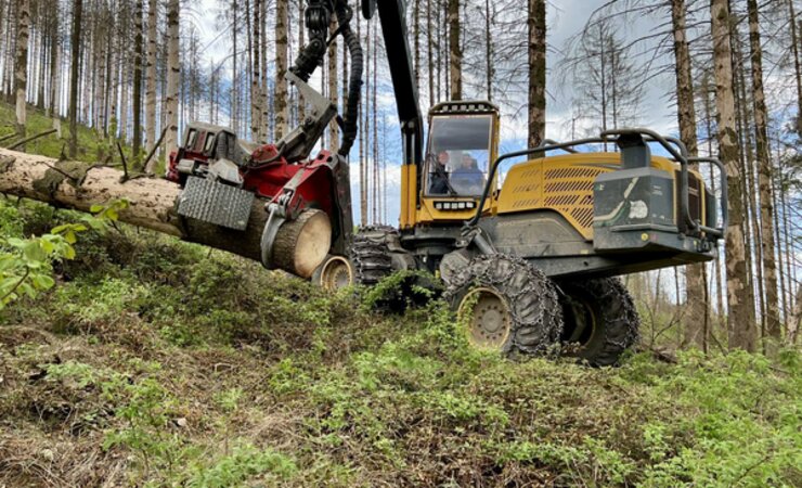 Das Forstunternehmen H+R Forst erntet und rückt im Harz seit über zwei Jahren Totholz | © O. Gabriel