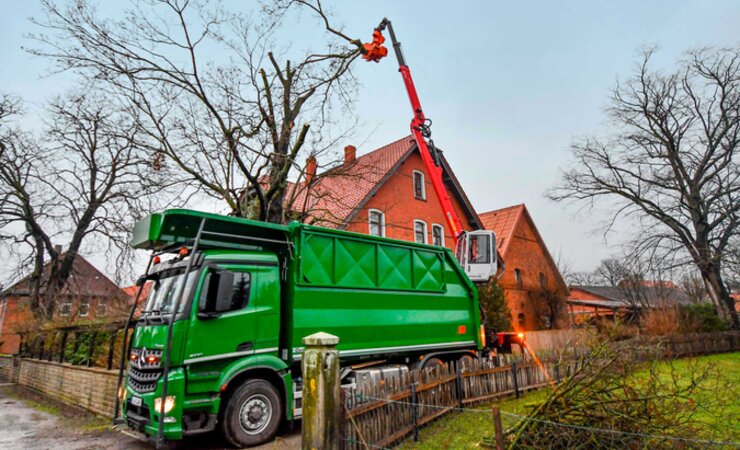 Ahorn direkt am Haus | © Fotos: M. Kubatta-Große