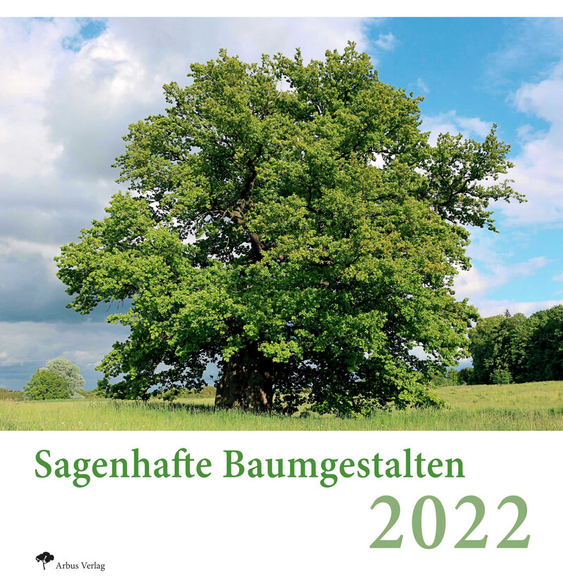 Sagenhafte Baumgestalten 2022 AFZ DerWald 242021 Sagenhafte Baumgestalten 2022 AFZ DerWald 242021